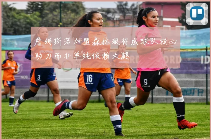 詹姆斯若加盟森林狼将成球队核心助力而非单纯依赖大腿