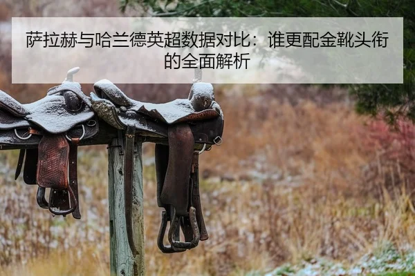 萨拉赫与哈兰德英超数据对比：谁更配金靴头衔的全面解析